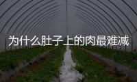 為什么肚子上的肉最難減？5類運動減脂各有優(yōu)勢