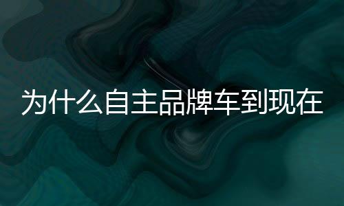 為什么自主品牌車到現在才被廣泛點贊？