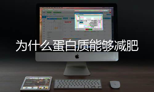 為什么蛋白質(zhì)能夠減肥
