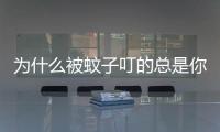 為什么被蚊子叮的總是你？