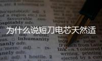 為什么說短刀電芯天然適合快充路線？