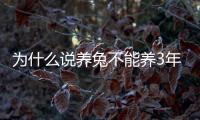 為什么說養兔不能養3年（兔子不能養三年）
