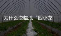 為什么說(shuō)臨滄“四小龍”是臨滄茶葉發(fā)展的助推器？