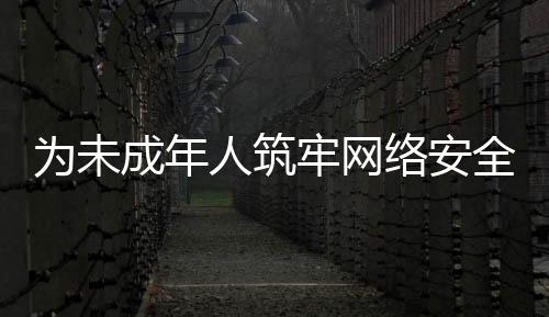 為未成年人筑牢網絡安全屏障