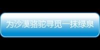 為沙漠駱駝尋覓一抹綠泉 海外試駕e