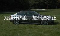 為避開熱浪，加州酒農(nóng)正在與時間賽跑