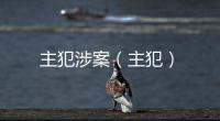 主犯涉案（主犯）