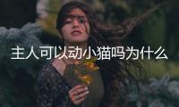 主人可以動小貓嗎為什么(主人可以摸貓的幼崽嗎)