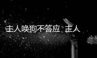 主人喚狗不答應  主人呼喚狗狗回家遭拒絕