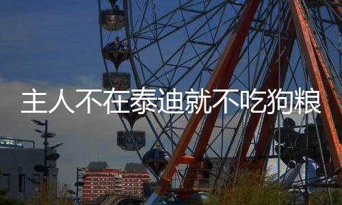 主人不在泰迪就不吃狗糧  主人不在泰迪就不吃飯怎么辦