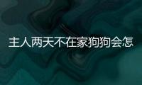 主人兩天不在家狗狗會(huì)怎樣(外出兩天狗狗單獨(dú)在家)
