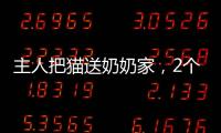 主人把貓送奶奶家，2個月貓咪重了4斤：果然是奶奶養的貓