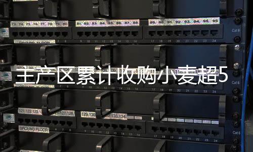 主產(chǎn)區(qū)累計(jì)收購小麥超5000萬噸 旺季收購進(jìn)度已超八成