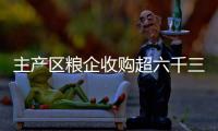 主產區糧企收購超六千三百萬噸——秋糧收購全面有序推進