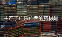 主產于廣東廣西的藥材是:主產于廣東廣西()
