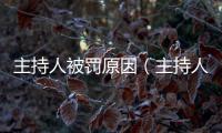 主持人被罰原因（主持人被罰沒1億）