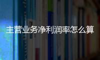 主營(yíng)業(yè)務(wù)凈利潤(rùn)率怎么算（凈利潤(rùn)率怎么算）