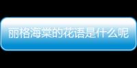 麗格海棠的花語是什么呢 麗格海棠有有毒嗎
