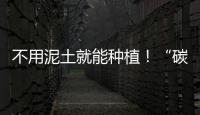 不用泥土就能種植！“碳中和蔬菜工廠”長出的番茄是啥味兒？