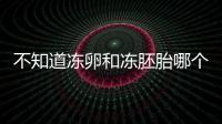 不知道凍卵和凍胚胎哪個(gè)成功率高？這篇告訴你區(qū)別所在