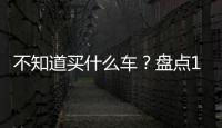不知道買(mǎi)什么車(chē)？盤(pán)點(diǎn)1月份上市新車(chē)