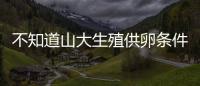 不知道山大生殖供卵條件有哪些看這，聽聽生殖專家怎么說