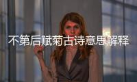 不第后賦菊古詩意思解釋 不第后賦菊古詩意思解釋簡單