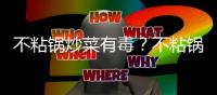 不粘鍋炒菜有毒？不粘鍋有什么優點和缺點？