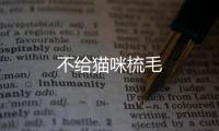 不給貓咪梳毛
