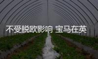 不受脫歐影響 寶馬在英國產(chǎn)MINI電動車