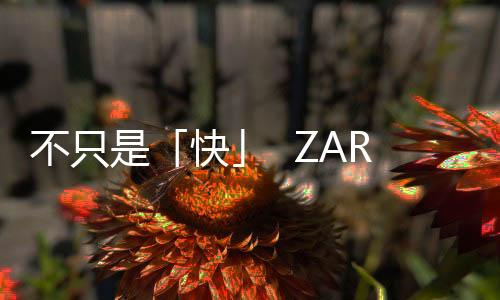 不只是「快」  ZARA是難以模仿的極速時(shí)尚