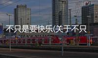 不只是要快樂(關于不只是要快樂簡述)