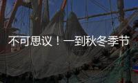 不可思議！一到秋冬季節，廈門的這個老公園就變成了拍照圣地！