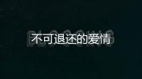 不可退還的愛情
