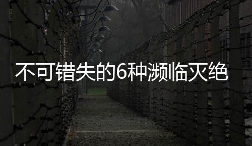 不可錯失的6種瀕臨滅絕的葡萄酒