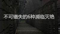 不可錯(cuò)失的6種瀕臨滅絕的葡萄酒