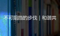 不可阻擋的步伐｜和諧共生促進發展