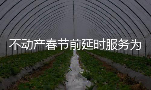 不動(dòng)產(chǎn)春節(jié)前延時(shí)服務(wù)為群眾解燃眉之急_