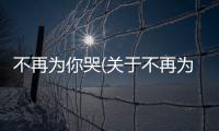 不再為你哭(關于不再為你哭簡述)