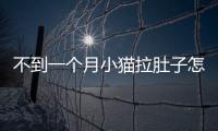 不到一個(gè)月小貓拉肚子怎么辦？一個(gè)月小貓拉肚子怎么回事