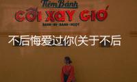不后悔愛過你(關于不后悔愛過你簡述)