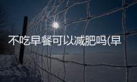 不吃早餐可以減肥嗎(早上不吃早餐的五大好處)