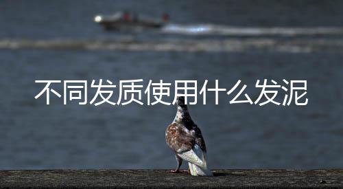 不同發質使用什么發泥
