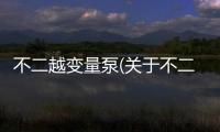 不二越變量泵(關(guān)于不二越變量泵簡述)