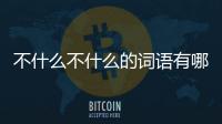 不什么不什么的詞語有哪些成語（不什么不什么的詞語）