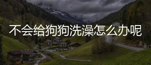 不會給狗狗洗澡怎么辦呢？不給狗狗洗澡會怎樣
