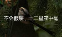 不會假裝，十二星座中毫無求生欲的星座男
