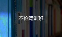 不倫駕訓(xùn)班