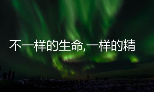不一樣的生命,一樣的精彩(關于不一樣的生命,一樣的精彩簡述)