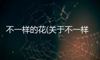 不一樣的花(關(guān)于不一樣的花簡(jiǎn)述)